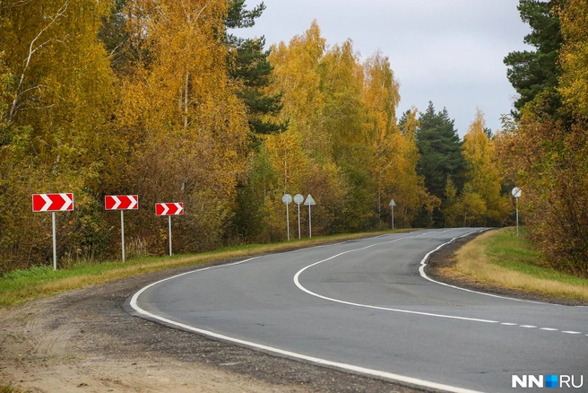 Все оттенки осени — в одном кадре! | Источник: Наталья Бурухина / NN.RU