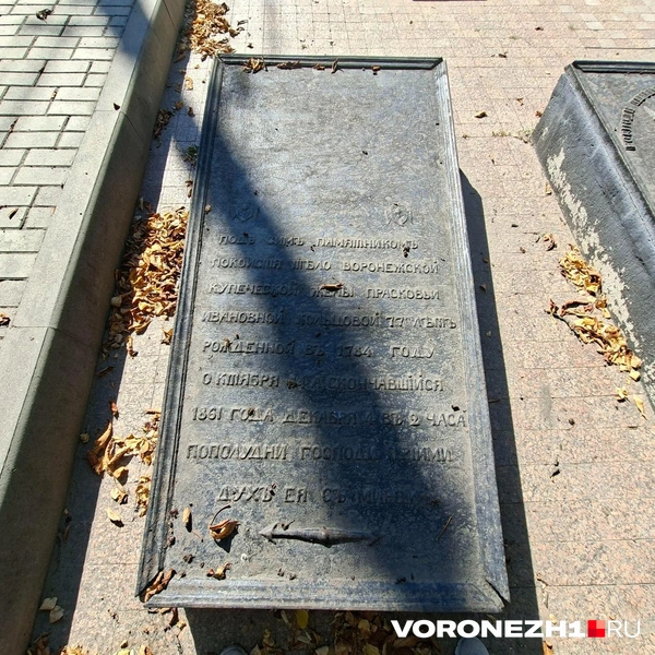 Источник: Алёна Воропаева / Voronezh1.ru