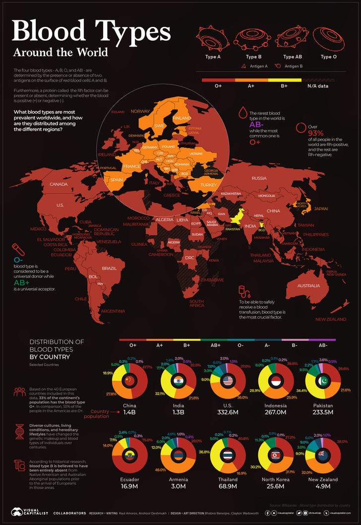 Инфографика: карта крови
