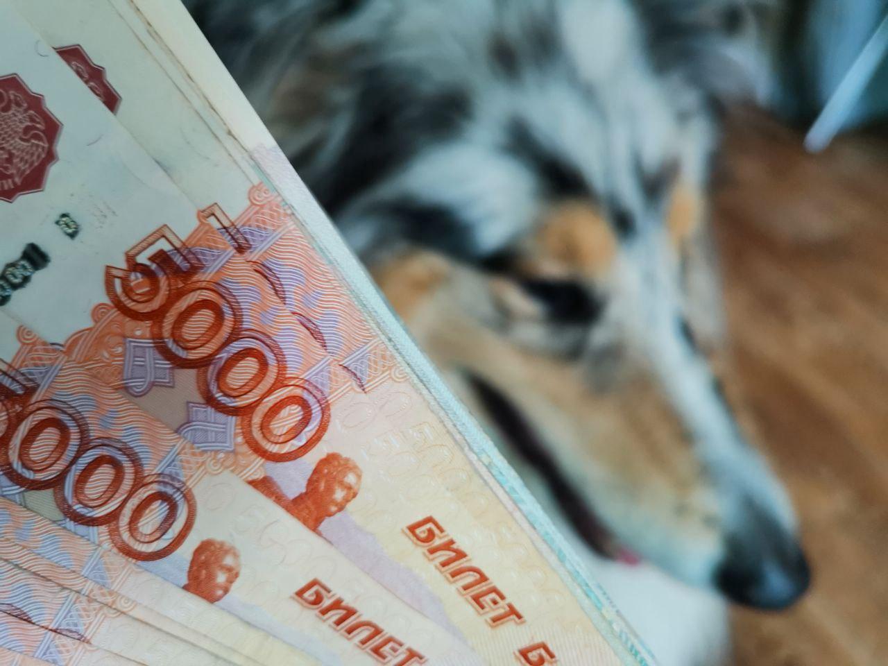 Новый тариф на капремонт в Приморье: плата вырастет