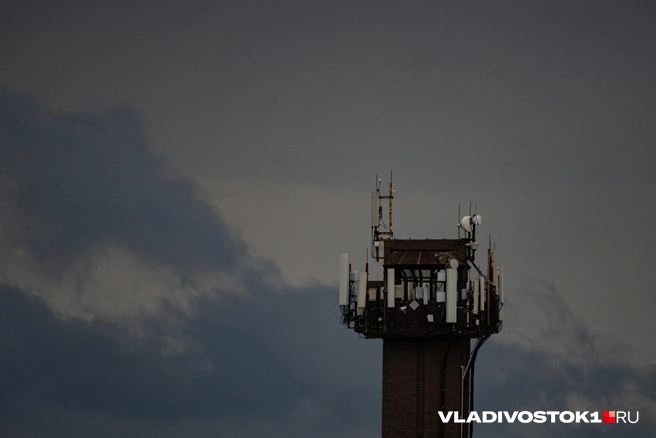 Источник: Елена Буйвол / VLADIVOSTOK1.RU