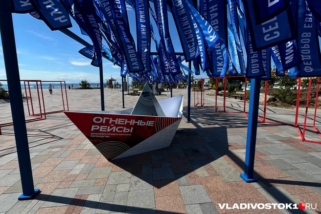 Источник: Елена Буйвол / VLADIVOSTOK1.RU