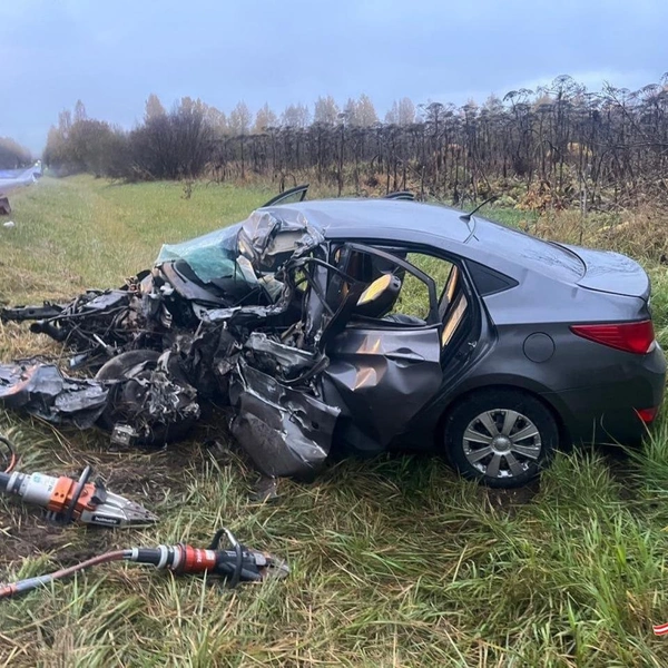 Источник: ГУ МВД по Петербургу и Ленобласти