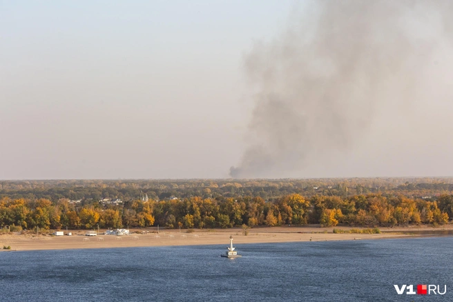 Источник: Константин Завриков / V1.RU