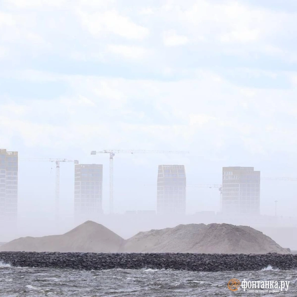 Источник: Сергей Михайличенко / «Фонтанка.ру»