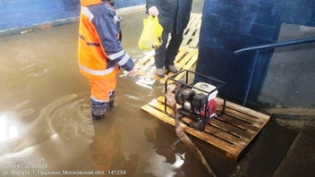 Источник: adm-pushkino.ru