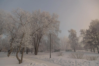 Новосибирск: прогноз погоды на три дня с потеплением