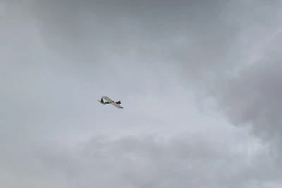 Опасность атак БПЛА в Воронежской области