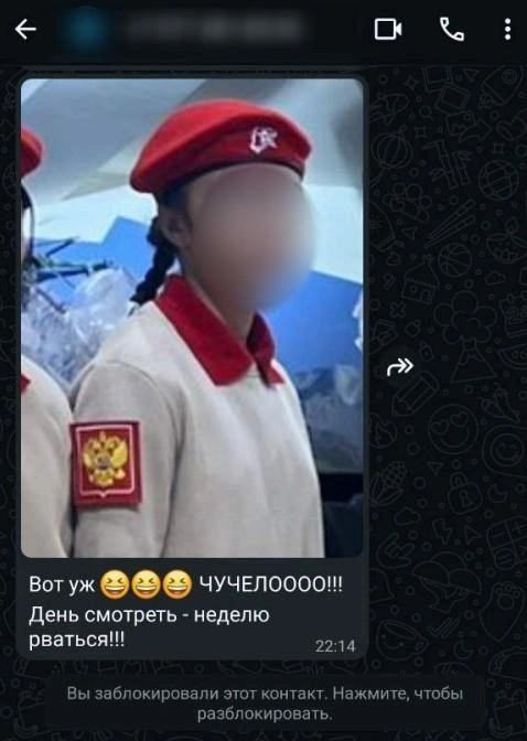 По словам Юлианны, родителям регулярно приходили сообщения с оскорблениями их детей в личных сообщениях | Источник: предоставлено редакции MSK1.RU
