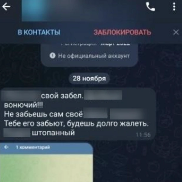 Такие сообщения пришли детям с аккаунта Олеси после очередной публикации в одном из районных пабликов | Источник: предоставлено редакции MSK1.RU