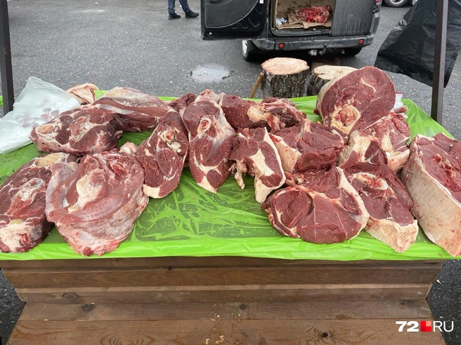 Источник: Радик Енчу / 72.RU