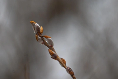 В Ростове 27 марта до +18, ночью дождь