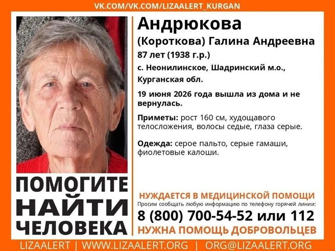 Источник: Поисковый отряд «ЛизаАлерт» Курганской области /vk.com