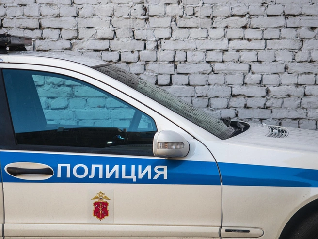 Полицейские задержали водителя-новосибирца в центре Санкт-Петербурга | Источник: Михаил Огнев / FONTANKA.RU