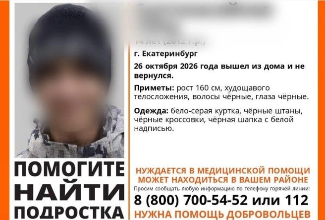 Мальчик нуждается в медицинской помощи | Источник: «ЛизаАлерт»
