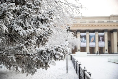 Погода в Новосибирске на первую неделю февраля