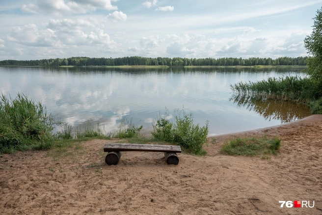 Скамейка&nbsp;— бесплатный вариант отдыха у воды | Источник: Александр Куренной / 76.RU