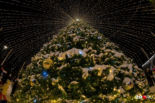 Источник: Анна Лоскутова / 29.RU