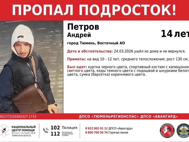 Ориентировка на пропавшего 14-летнего Андрея Петрова | Источник: Поисково-спасательный отряд «Авангард» / Vk.com