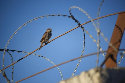 Рязанец осужден за кражи и грабеж после признания вины