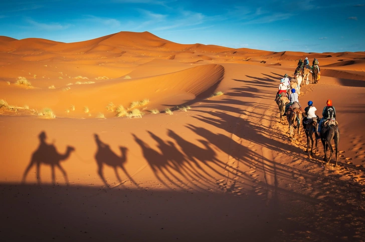 Источник: Dan Baciu via Shutterstock/Fotodom.ru
