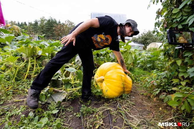 Источник: Артем Устюжанин / MSK1.RU