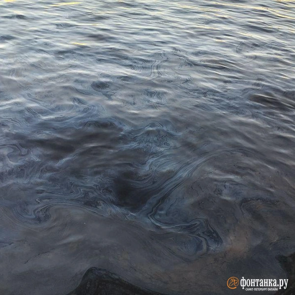 Петербуржцы зафиксировали масляные пятна на Неве после отхода корабля | Источник: читатель «Фонтанки»