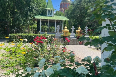 Фото жителей Волгограда раскрывают очарование центра города