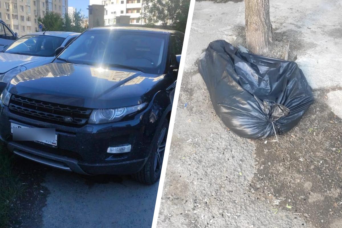 В Екатеринбурге молодой хаски умер в салоне авто, где его запер хозяин - 6  июля 2021 - Е1.ру