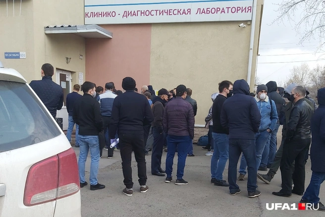 Все эти люди — сотрудники одной организации