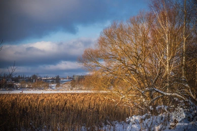 Зима не спешит уходить