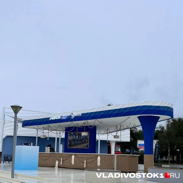 Источник: Алиса Князева / VLADIVOSTOK1.RU