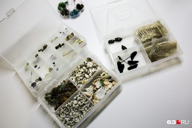 Корреспонденту 63.RU понравились крылья бабочек, очень нежные | Источник: Ксения Бирюкова / 63.RU