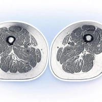 Один тип еды превращает наши мышцы в мраморные стейки: как это работает