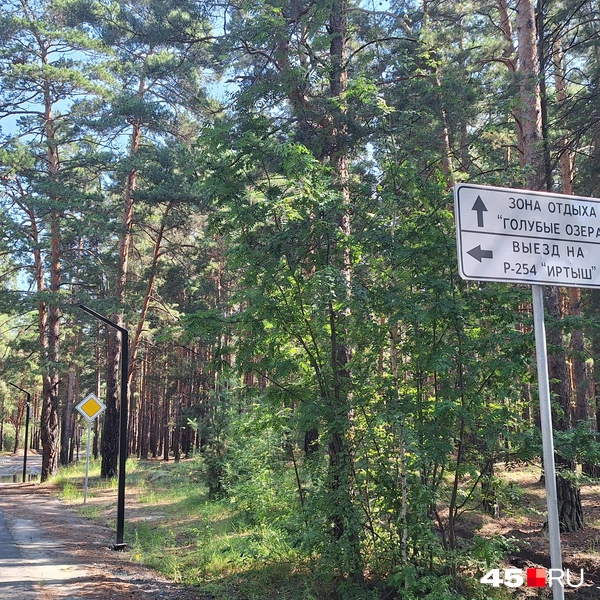 Единственный указатель в сторону Голубых озер не очень позволяет понять местонахождение городского пляжа | Источник: Александр Лисихин / 45.RU 