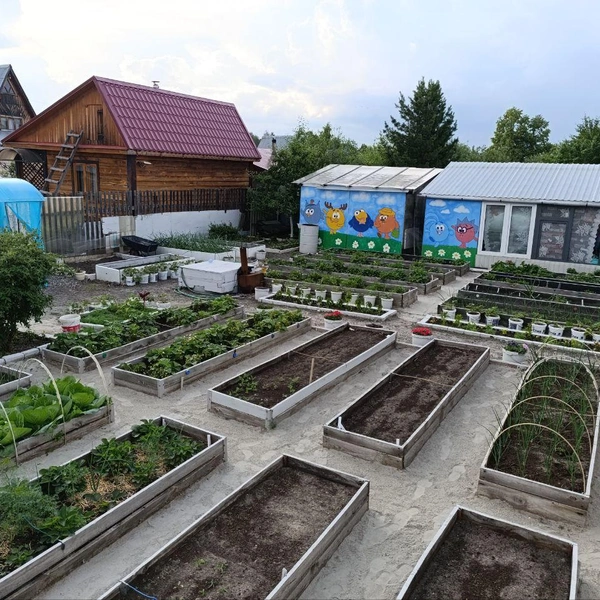 Источник: предоставлено участником конкурса