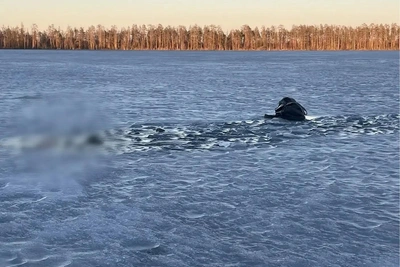 Пенсионер утонул в полынье в Архангельской области