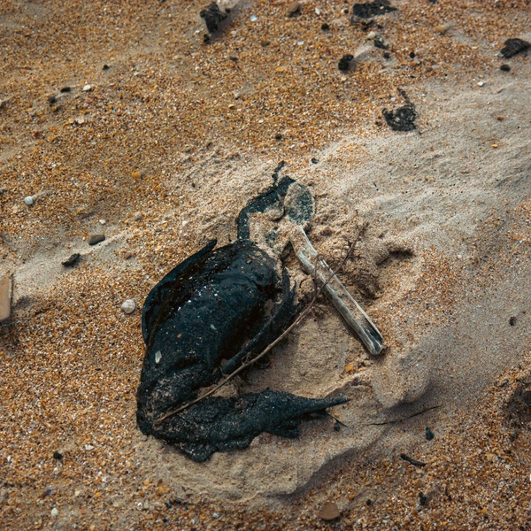 Источник: Владислав Крамской / пресс-служба ГУ МЧС России по Краснодарскому краю