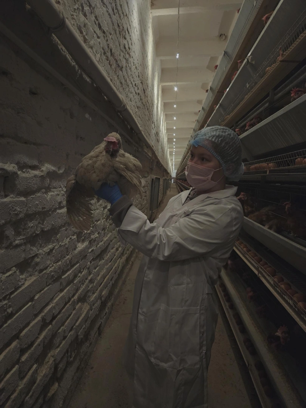 Носить средства индивидуальной защиты&nbsp;— обязательно | Источник: Марта Туголукова