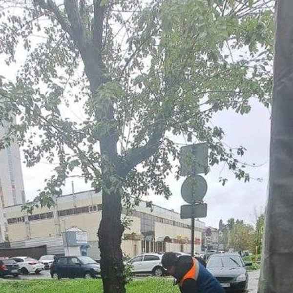 Источник: Мэрия Казани / T.me
