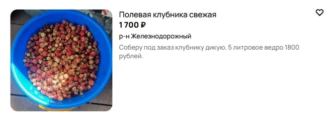 Собирают ягоду под заказ | Источник: «Авито»