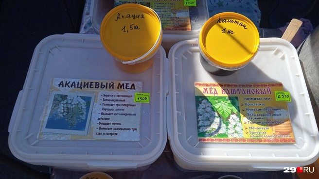 Источник: Юрий Скородумов / 29.RU