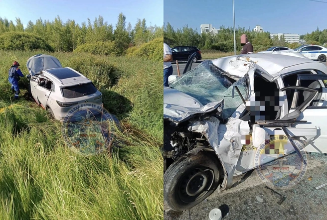 Подробности смертельного ДТП на Московском шоссе: пострадавшая в реанимации | Источник: Аварийно-спасательная служба ЛО