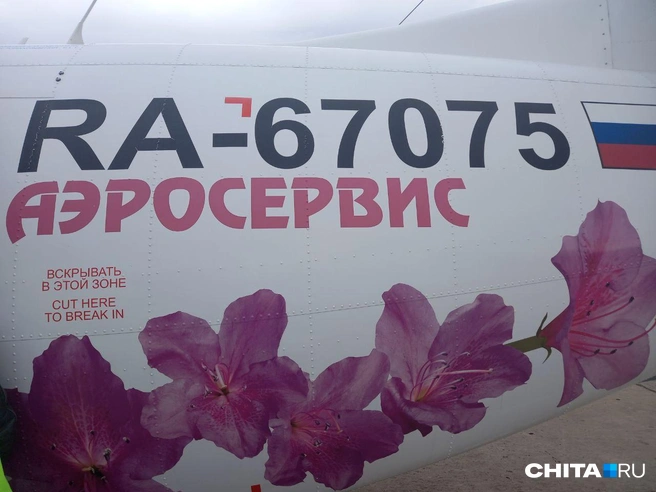 В ожидании багажа приходилось снимать борт самолета | Источник: Елена Раздобреева / CHITA.RU