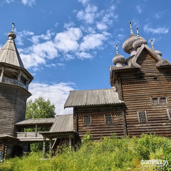 Щелейки | Источник: Галина Бояркова/ «Фонтанка.ру»