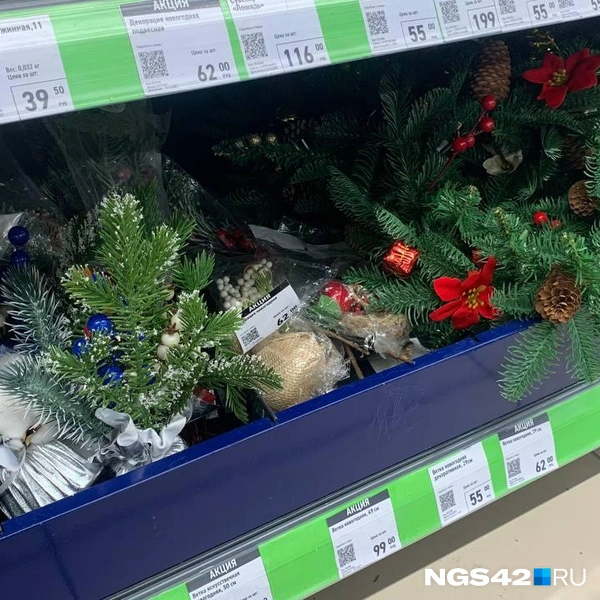 Самой дешевой оказалась елка за 62 рубля | Источник: Татьяна Ирискина / NGS42.RU