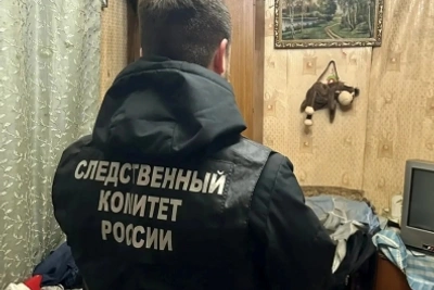 Завершено расследование дела тамбовчанки