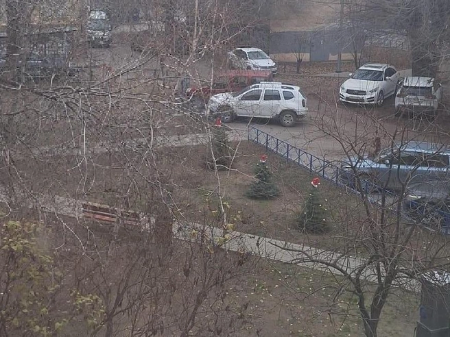 Вид сосен на улице Мира до край новогодних украшений | Источник: Сергей Островский