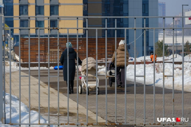 Прогулки только на территории | Источник: Булат Салихов / UFA1.RU