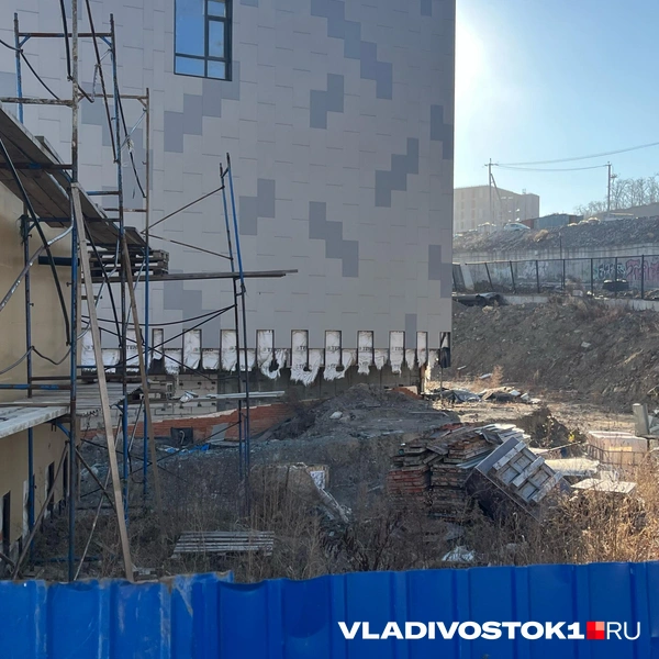 Источник: Елена Буйвол / VLADIVOSTOK1.RU